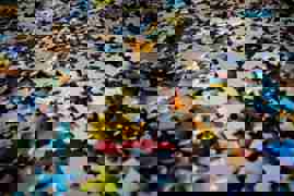 Pexels Magda Ehlers Pexels 1586950